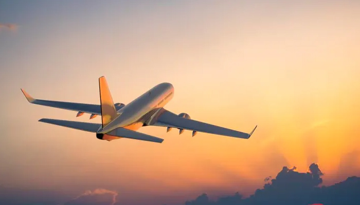 സഹയാത്രികരേയും വനിതാ കോണ്‍സ്റ്റബിളിനേയും ആക്രമിച്ച് വിമാനയാത്രക്കാരി; സിഐഎസ്എഫ് ഉദ്യോഗസ്ഥരെത്തി വിമാനത്തില്‍ നിന്നും പുറത്താക്കി