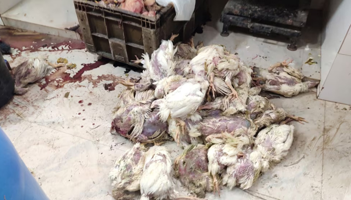 ഉരുള്‍പൊട്ടല്‍ ദുരന്തബാധിതര്‍ക്കുള്ള അടിയന്തര ധനസഹായം നല്‍കിത്തുടങ്ങി; വാടക വീടുകള്‍ ഒരാഴ്ചക്കുള്ളില്‍ കൈമാറുമെന്ന് മന്ത്രി കെ രാജന്‍