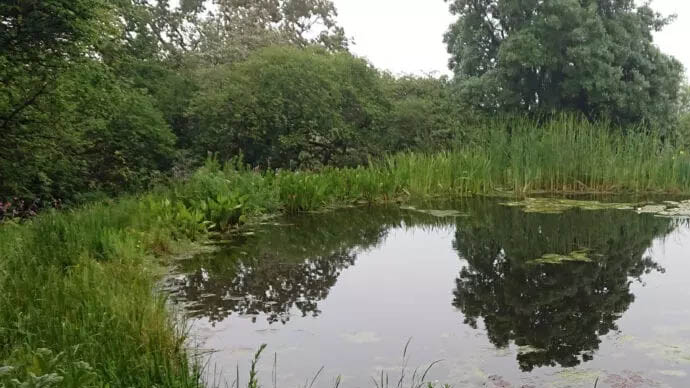 ചൂണ്ടയിടുന്നതിനിടെ കുളത്തില്‍ വീണ് ആറു വയസുകാരന്‍ മരിച്ചു; സംഭവം കോട്ടയത്ത്