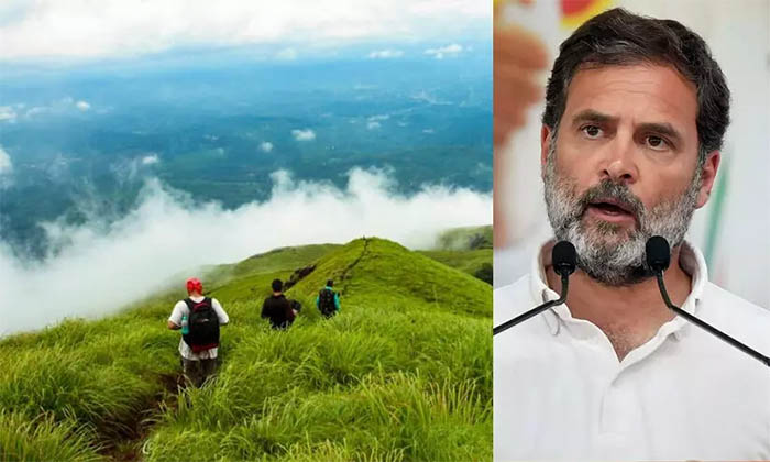 വയനാടിന്റെ ടൂറിസം മേഖല പുനരുജ്ജീവിപ്പിക്കണം; വിനോദസഞ്ചാരികളെ വയനാട്ടിലേക്കെത്തിക്കണം; കുറിപ്പുമായി രാഹുല്‍ ഗാന്ധി