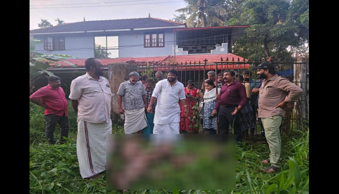 ജനവാസമേഖലയില്‍ ഭീതി പടര്‍ത്തി; തിരുവല്ലയില്‍ കൂട്ടത്തോടെ കാട്ടുപന്നികളെ കൊന്നൊടുക്കി നഗരസഭ