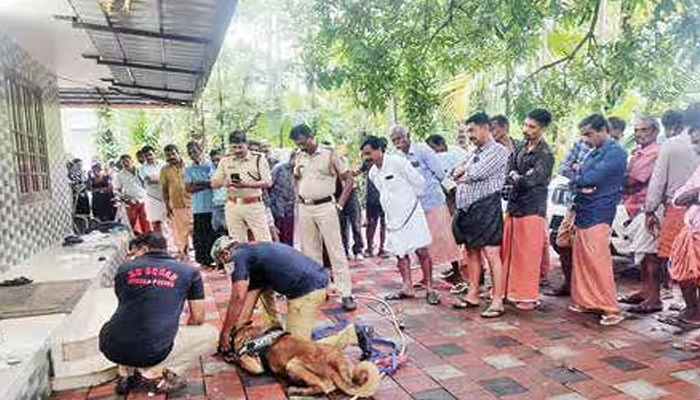 ഗൃഹനാഥനെ വീട്ടില്‍ക്കയറി വെട്ടി പരിക്കേല്‍പ്പിച്ച ശേഷം വീട്ടമ്മയുടെ മാല കവര്‍ന്നു; ആക്രമണം നടത്തിയത് മുഖംമൂടി ധരിച്ചെത്തിയ മോഷ്ടാവ്